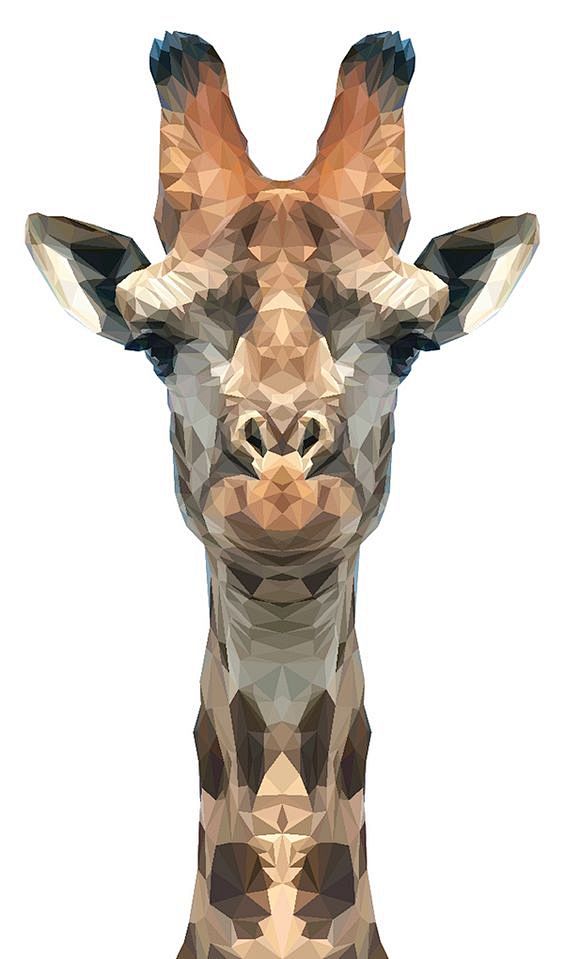 几何色彩块面构建的动物