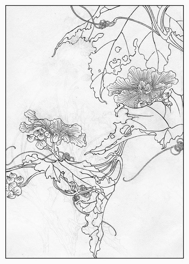 废柴少女采集于2013-06-06 12:59:14丝瓜4喜欢白描花卉73年版废柴少女