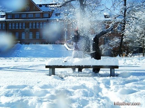 冰天雪地的唯美