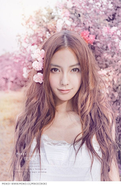 黑大人采集到杨颖