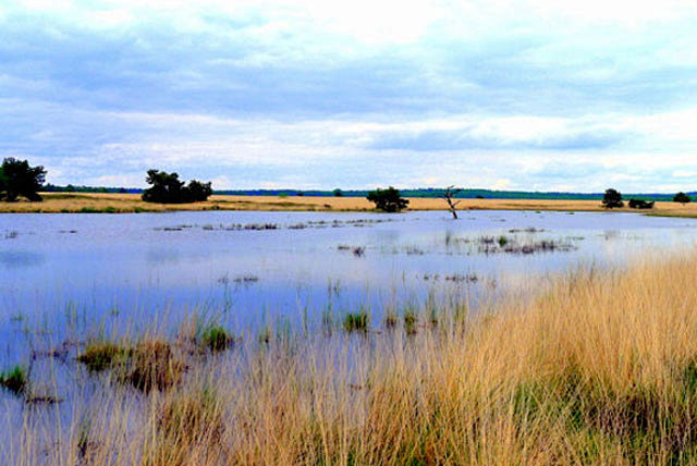荷兰旅游_荷兰旅游攻略_荷兰旅游景点介绍