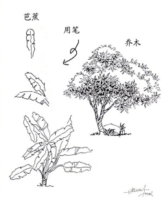 朵境采集到X 绘画原理