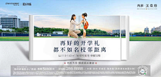 黑珍珠要发光采集到学区价值