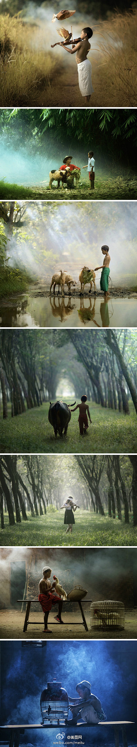 日常生活中的片段记录乡村中人与自然人与动物的和谐相处很真实很温馨