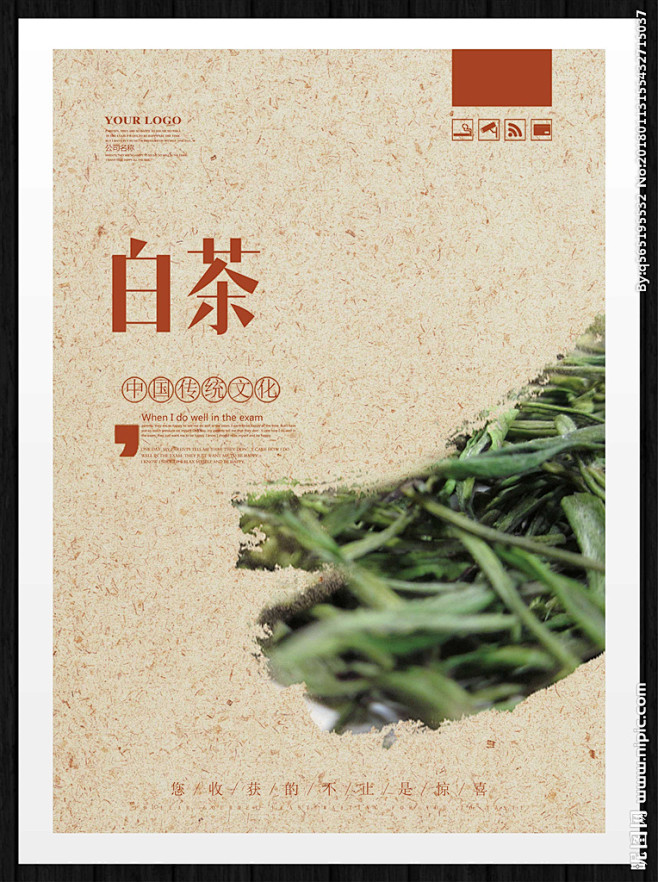 白茶茶茶壶养生茶叶设计名茶叶茶叶茶园茶叶采摘茶叶工序茶叶制作中国