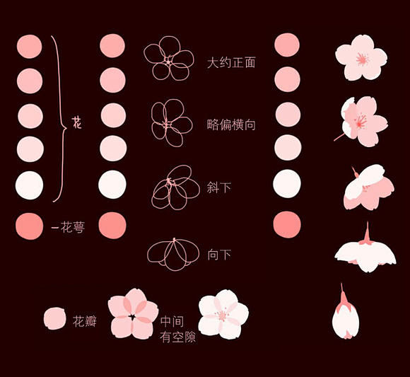 樱花盛景绘画教程图片