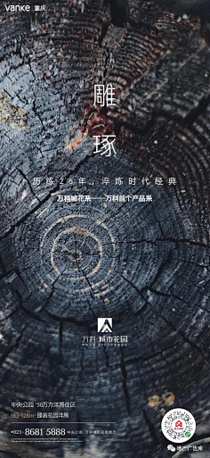 媚妹范采集到地产 微单