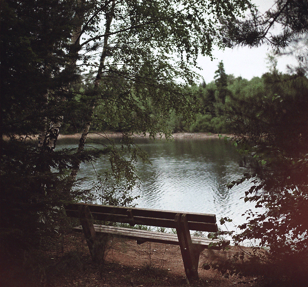 值得用心去感受的真实场景gif动态图片