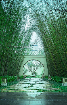 lili瑜瑜采集到场景素材
