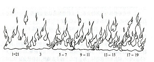 自然运动规律火