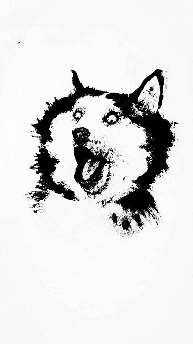 17:46:23黑白手绘 狗狗3喜欢线条画我与石榴共白头该采集也在以下画板