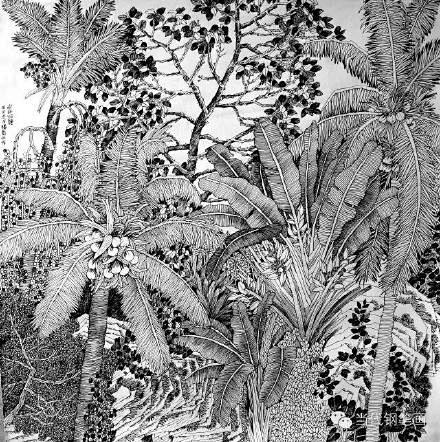 滕春任南国植物王国钢笔画作品欣赏