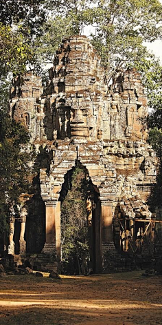 christsukina采集到风景