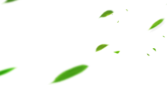 L李多遥远采集到免抠-动植物水果花卉