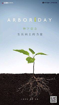一江小鱼采集到日篇
