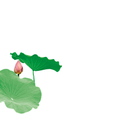 淘小菲采集到花草