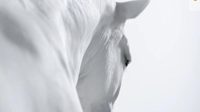 乌溜溜的黑眼珠和你的笑脸怎么也难忘记你容颜