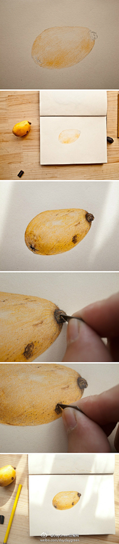 瑾喻采集到彩铅教程(静物)
