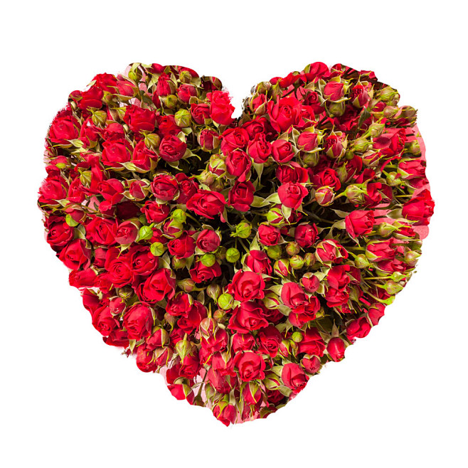 素材-花瓣网|陪你做生活的设计师 | 6素材网