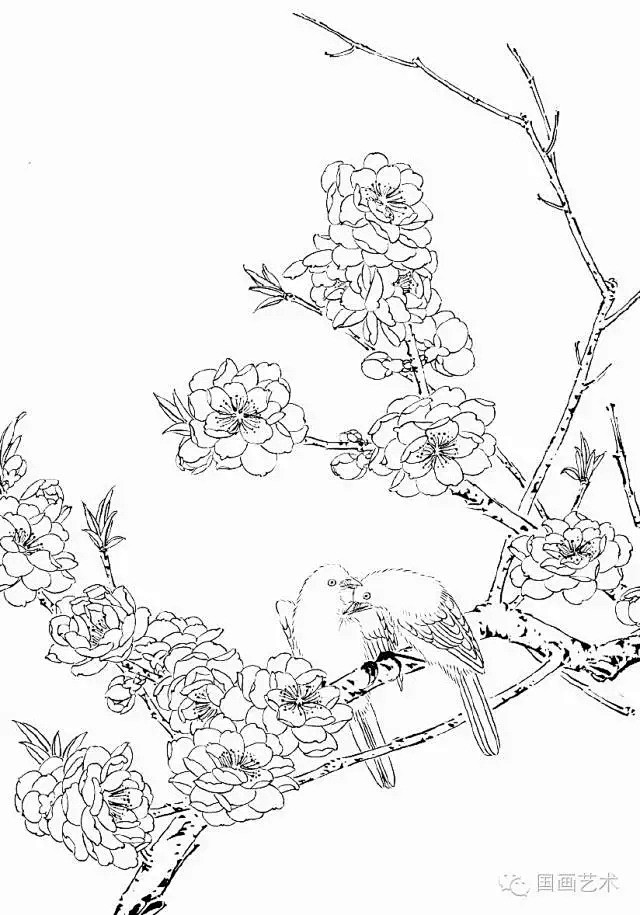 工笔线描桃花美