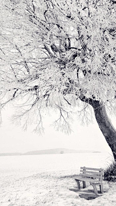 远山流水采集到冰天雪地