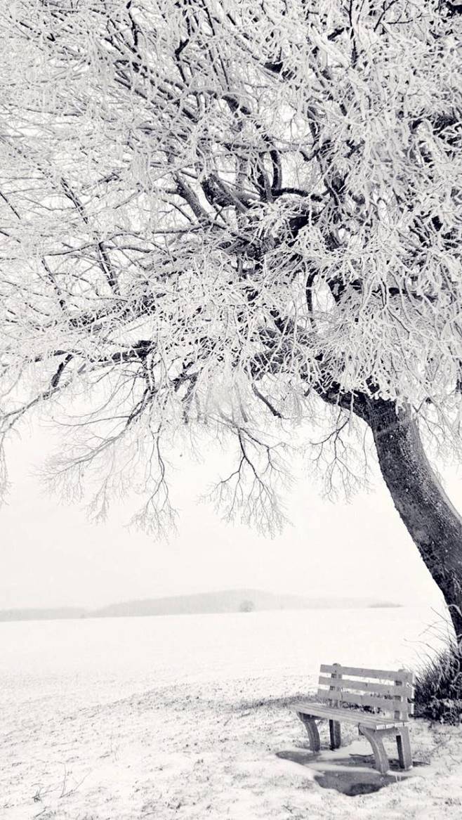 远山流水采集到冰天雪地