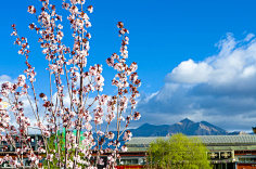 妆小婵采集到高清大图