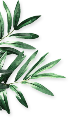无e不设采集到植物