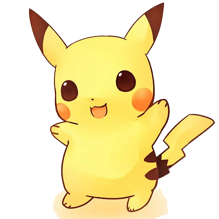 皮卡丘28