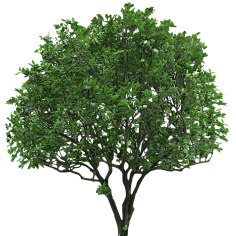 景观素材 花瓣网 陪你做生活的设计师 铺装贴图 马赛克