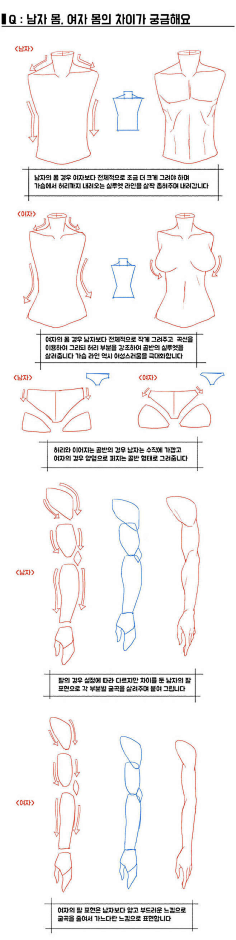 琅玉采集到绘画素材
