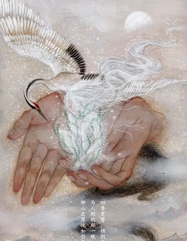 狐碟飞采集到小鹿乱撞