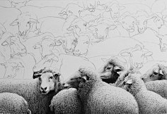 谭伯虎钢笔画采集到钢笔画by谭伯虎