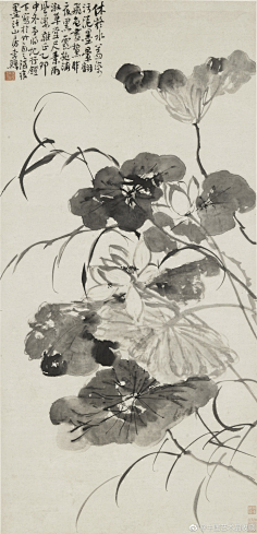 二维空间82829采集到传统书画