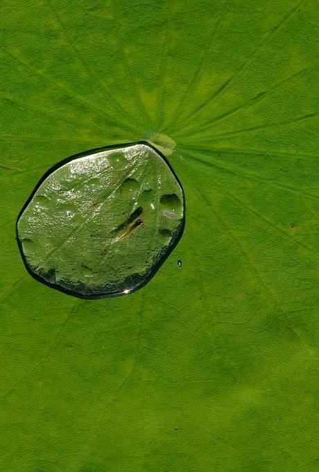 一度一载,在镌刻的时光里来来往往.