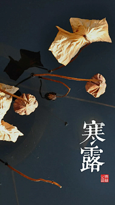 小荣孖-子子子子子采集到app引导