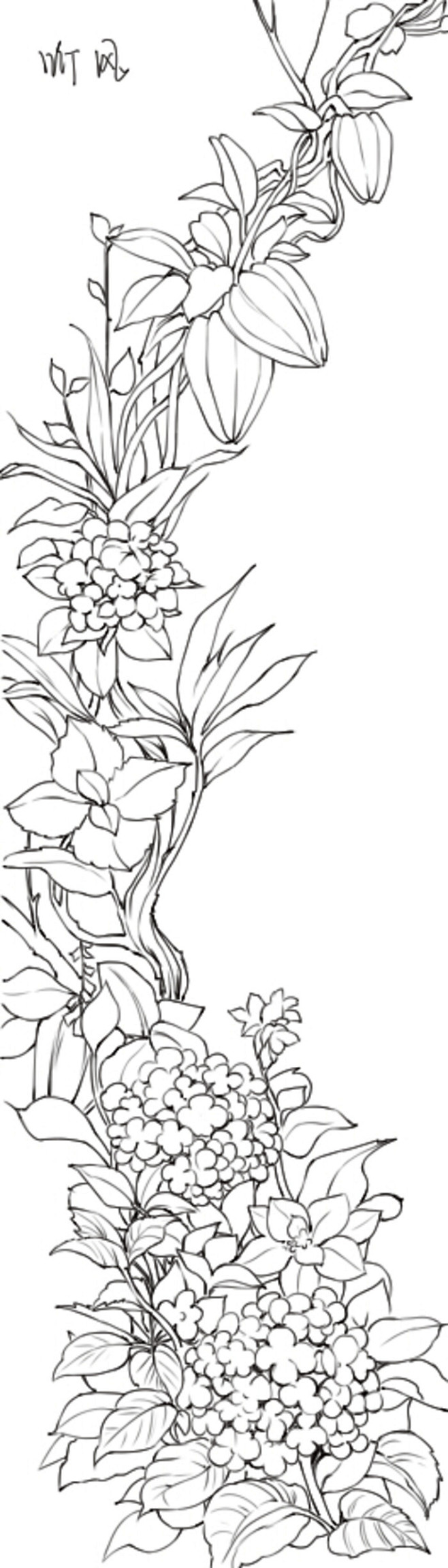 花线稿