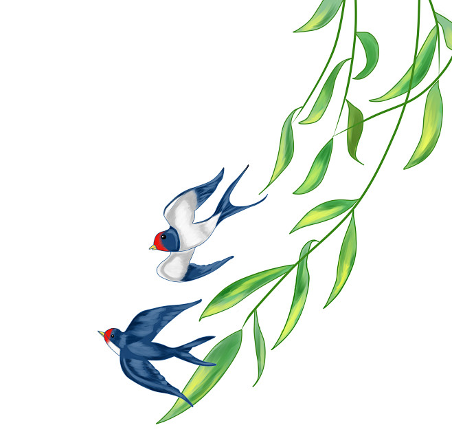 春天两只燕子从柳叶下飞过白底插画素材