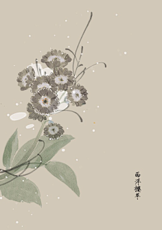 芍药居一霸采集到不知道叫啥名