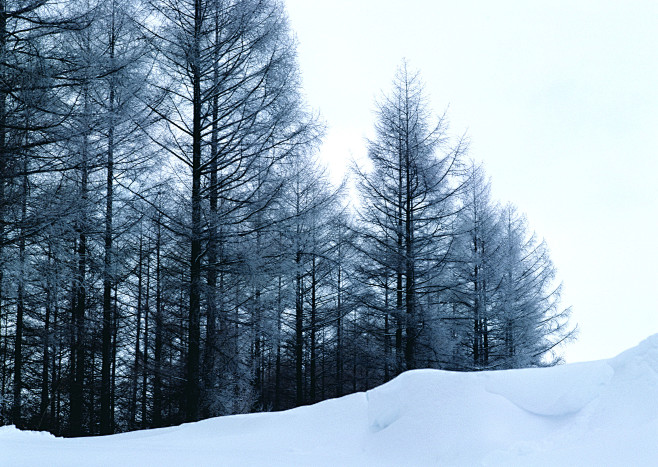 冰天雪地