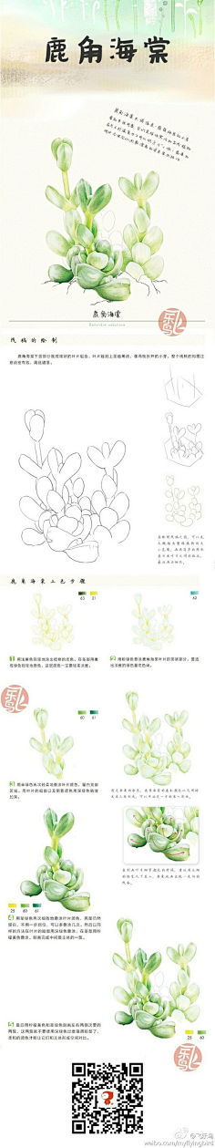大猩猩-X采集到花儿