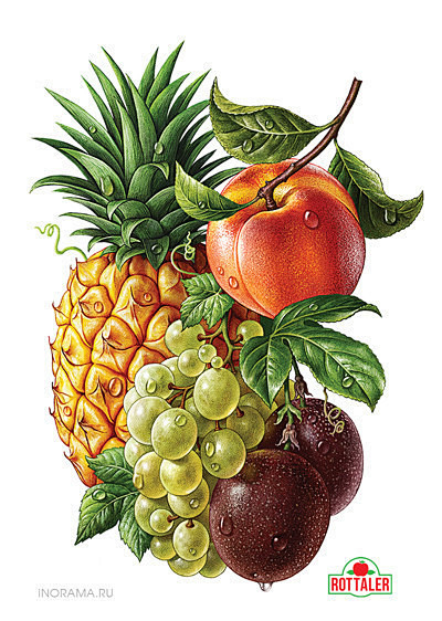 假亦真时真亦假--来自俄罗斯插画师INORAMA