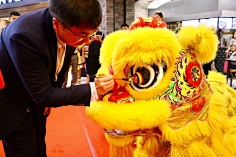 尽洗·铅华采集到舞狮