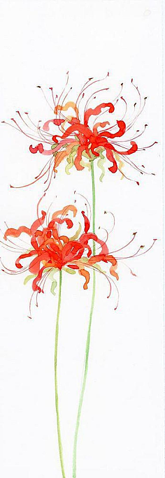 花 水彩 花瓣网 陪你做生活的设计师 绿色藤蔓植物