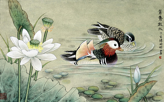 荷花与鸳鸯
