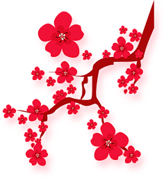 情定巴黎11采集到年货节