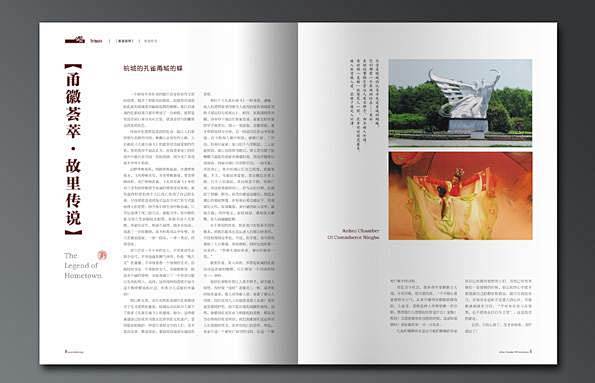 瑞丰天利《瑞苑·2017年第2期·半年刊设计_金融投资_行业案例_杂志
