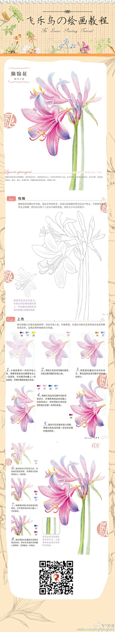 Derway采集到彩铅
