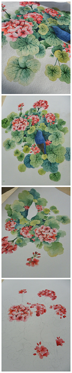 夏明采集到那些花儿