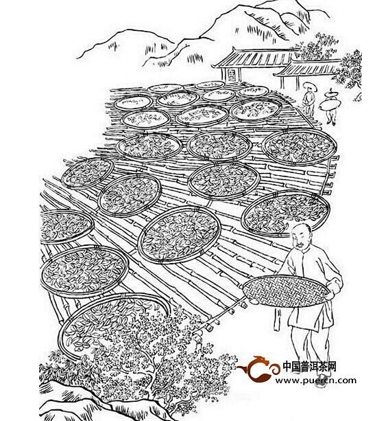 茶叶简笔画制作过程图片